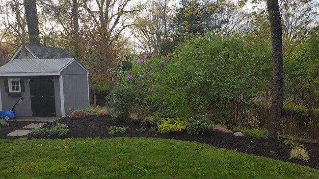 Back yard - 7207 13th Ave