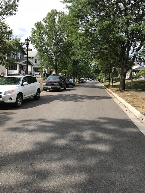 street out front looking south - 896 Oxley Rd