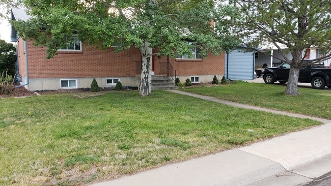 Front Yard - 1315 Balsam St