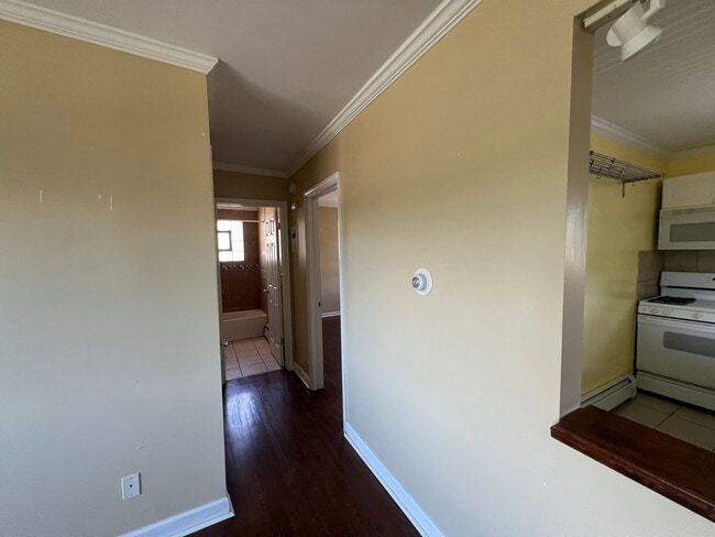 Building Photo - 236 Johnson St