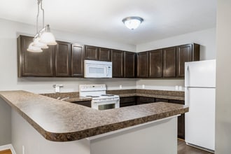 Building Photo - 1243 Terrace Dr