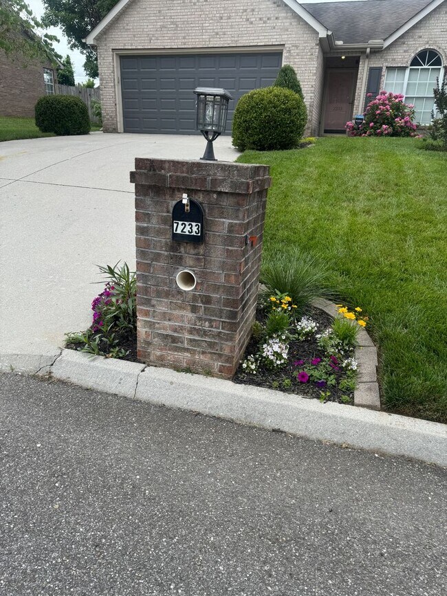 Building Photo - Knoxville 37918 - Beautiful 3 bedroom, 2 bath home in the heart of Powell - Contact Lisa Vineyard...