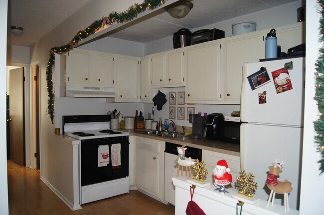 Kitchen - Dishwasher, Stove, Refrigerator - 974 S Lincoln St