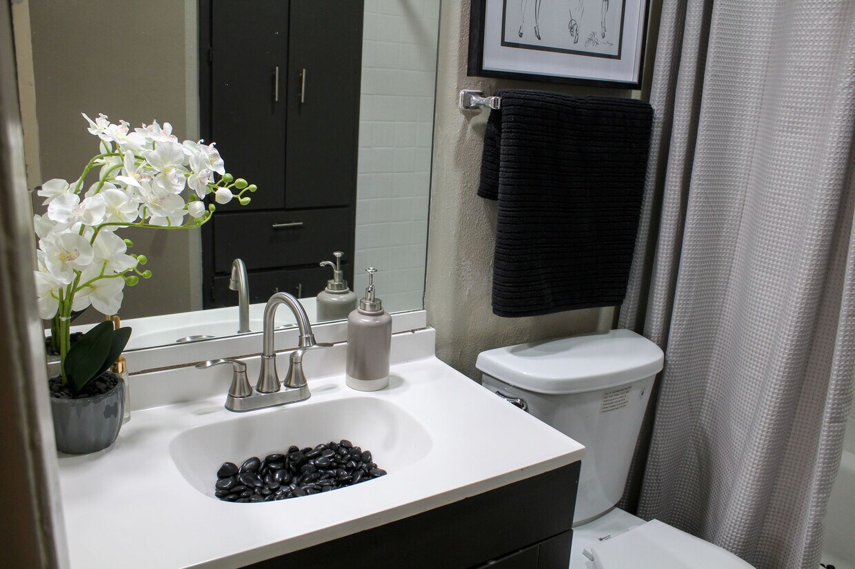 The Riley 8631 Fairhaven Dr San Antonio, TX