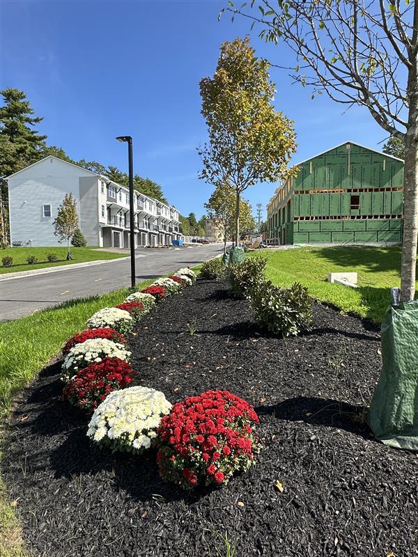 Foto del edificio - Boulder Way