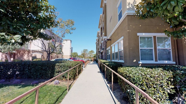 Harbor Grove Senior Apartments: 55 Plus Only Apartments - Garden Grove