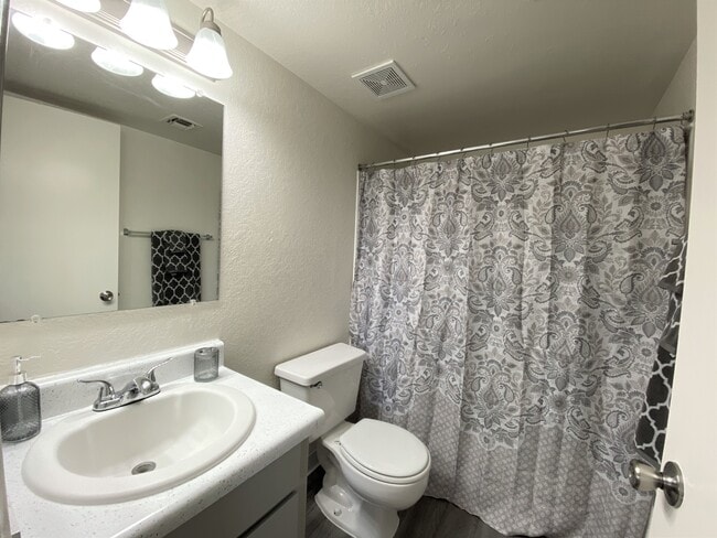2 Bedroom 1 Bath, Bathroom - Mountain Vista