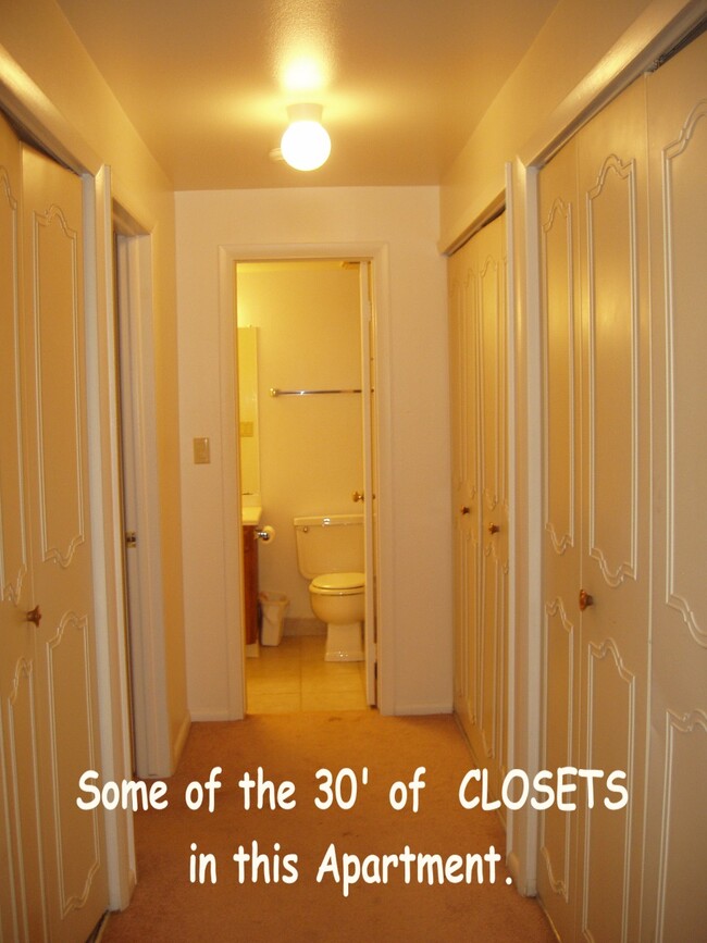 Some of the 30' of closets in this apartment - 1243 Gaylord St