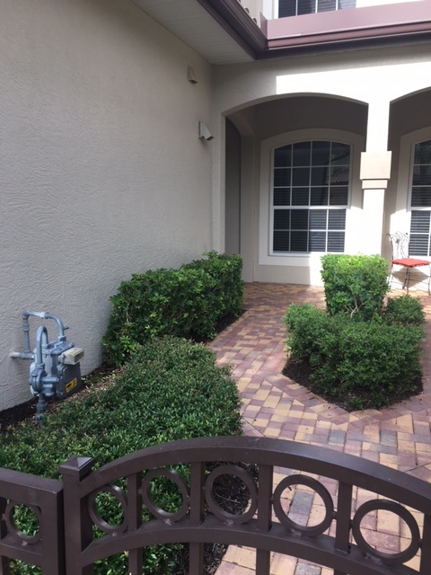 Building Photo - 8217 Miramar Way