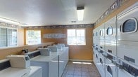 This single-story laundry facility is designed to accommodate multiple users simultaneously, equipped with a generous array of top-load washing machines lining one wall and a bank of stacked dryers along the opposite wall, maximizing the use of available space. The room features neutral tile flooring that is easy to maintain, while warm golden-orange painted walls are accented by a decorative border near the ceiling, adding a touch of character to the utilitarian space. Two windows allow natural light to filter into the room, creating a bright and functional environment. A fluorescent ceiling fixture provides additional overhead lighting. Informational postings are displayed on the wall near the windows, likely containing usage instructions or facility guidelines. The layout is practical and spacious enough to allow comfortable movement between machines. The textured white ceiling adds a clean finish overhead, complementing the overall tidy and organized atmosphere of the space. This well-equipped laundry room offers a convenient, communal amenity suited to serve a multi-unit residential property.