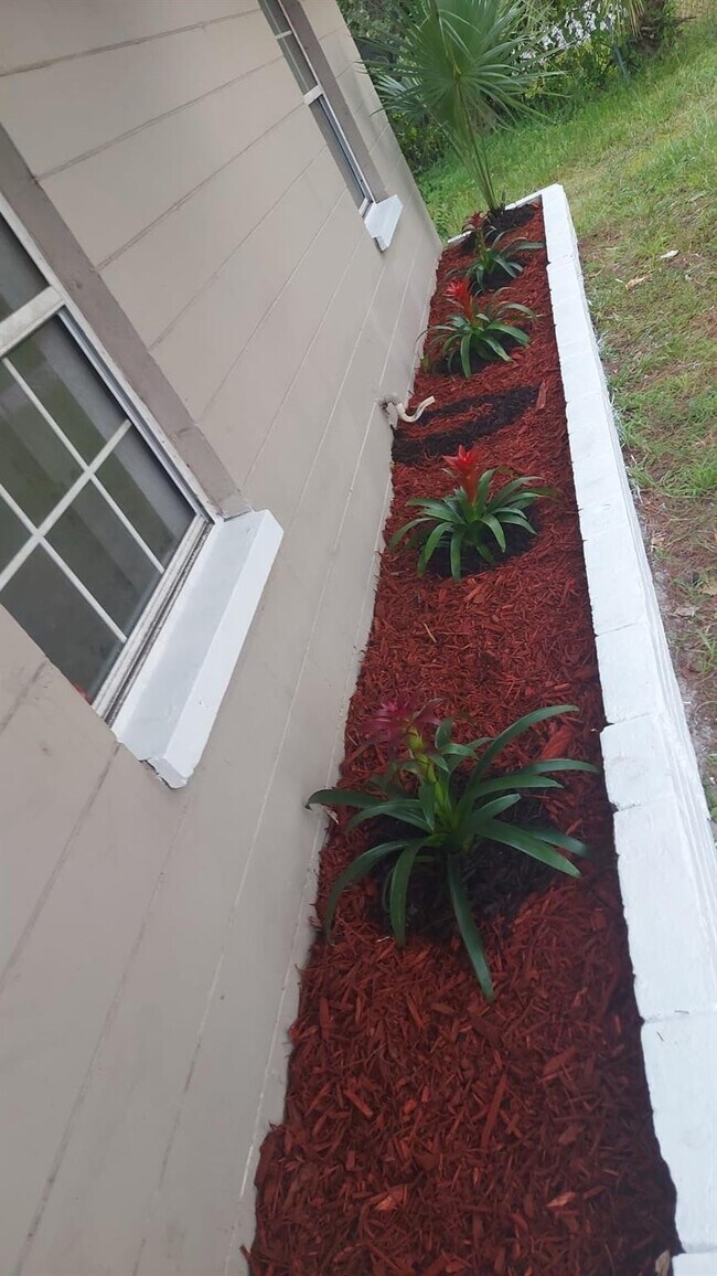 Foto del edificio - 216 Maria St