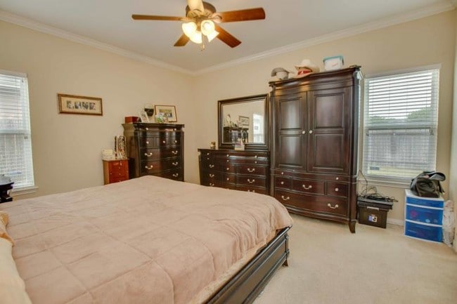 Building Photo - 7534 Angelwing Dr