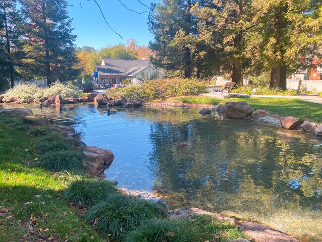 Serene beautiful setting - 2310 La Terrace Cir