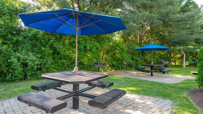 Gather for a cookout at our picnic area, complete with shaded tables with the choice of gas and charcoal to suite everyone’s flavor! - Welby Park Estates