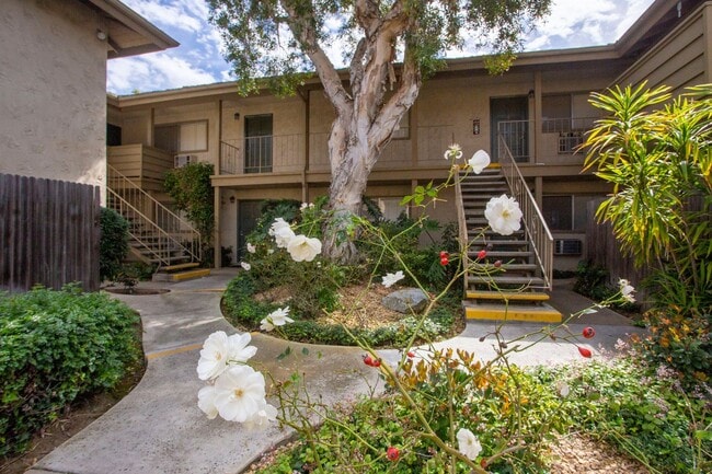 Foto del edificio - Chula Vista: Large One Bedroom in Gated Co...