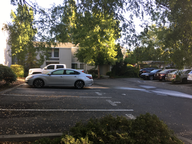 Foto del edificio - 2300 Sycamore Ln