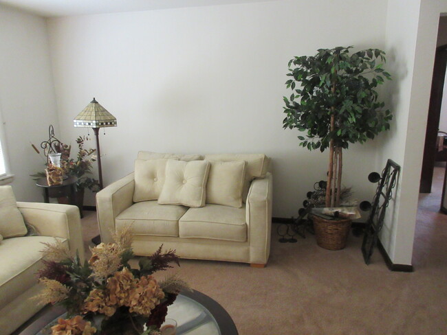 Living Room - 1049 David Dr