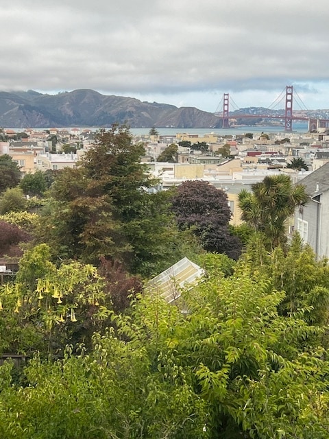 Building Photo - 3730 Anza St