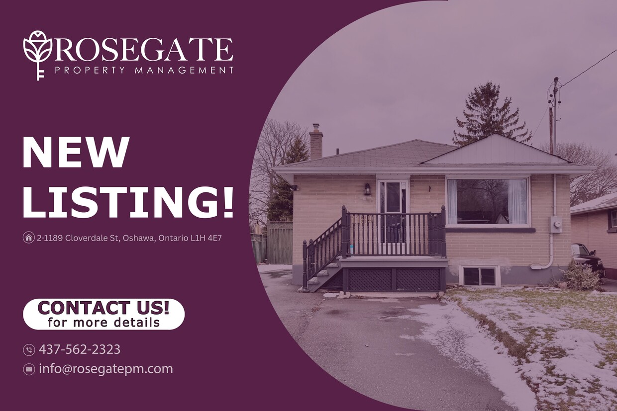 Primary Photo - Cozy 2-Bedroom Basement Apartment with Parking in Oshawa — Cats Allowed