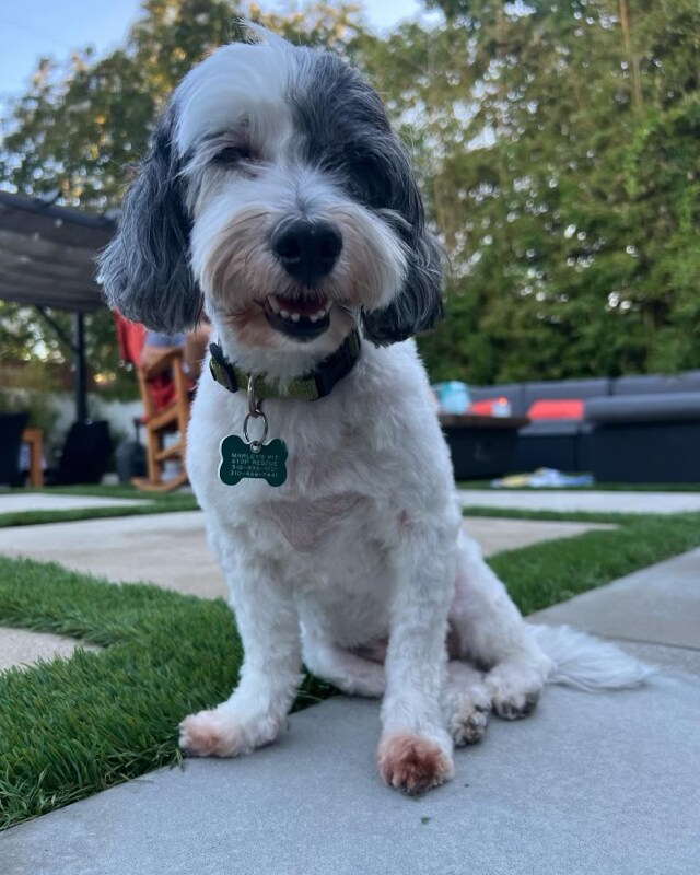 Foto del edificio - 150 S Madrona Ave