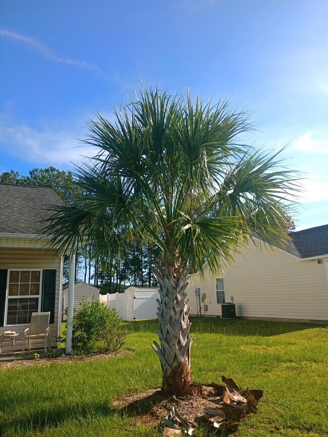 Foto del edificio - 133 Cottage Creek Cir