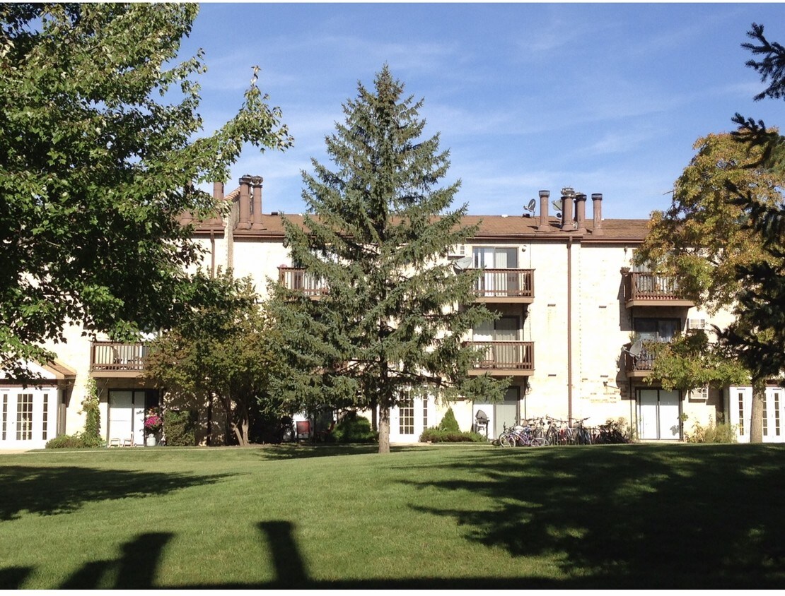 Primary Photo - 509 Spruce Dr