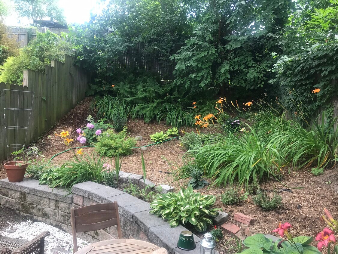 backyard - 316 Hudson Ave