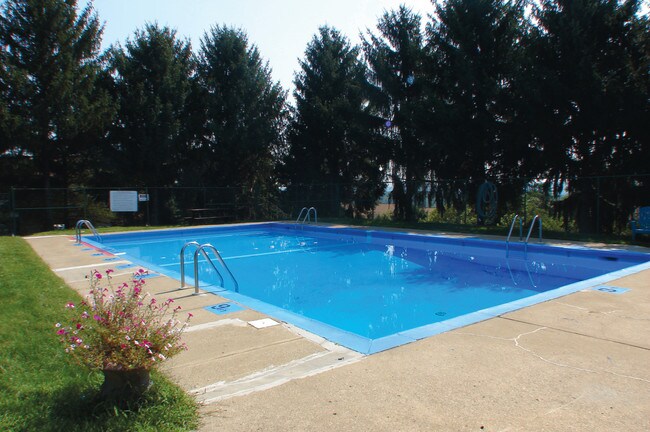 Foto del edificio - Mount Vernon Apartments