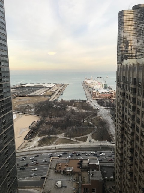Building Photo - 540 N Lake Shore Dr