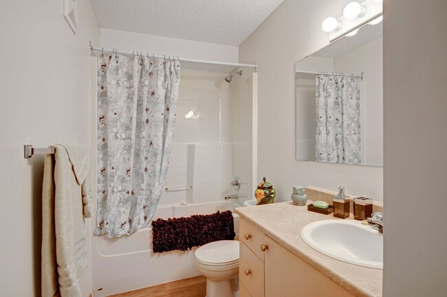 A bathroom with shower, tub, and a mirror above the sink - Edgewood Estates