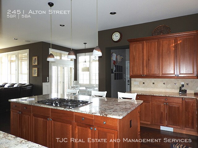 Foto del edificio - Stapleton Home for Rent! Custom Basement!