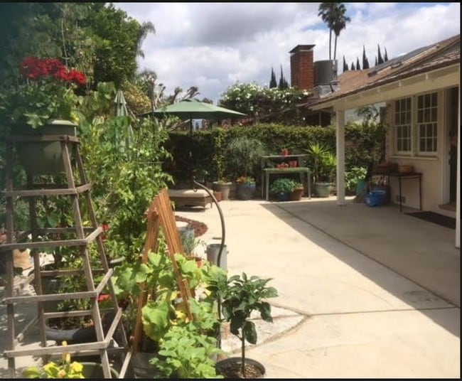 Patio/Garden Area - 6629 Sunnyslope Ave