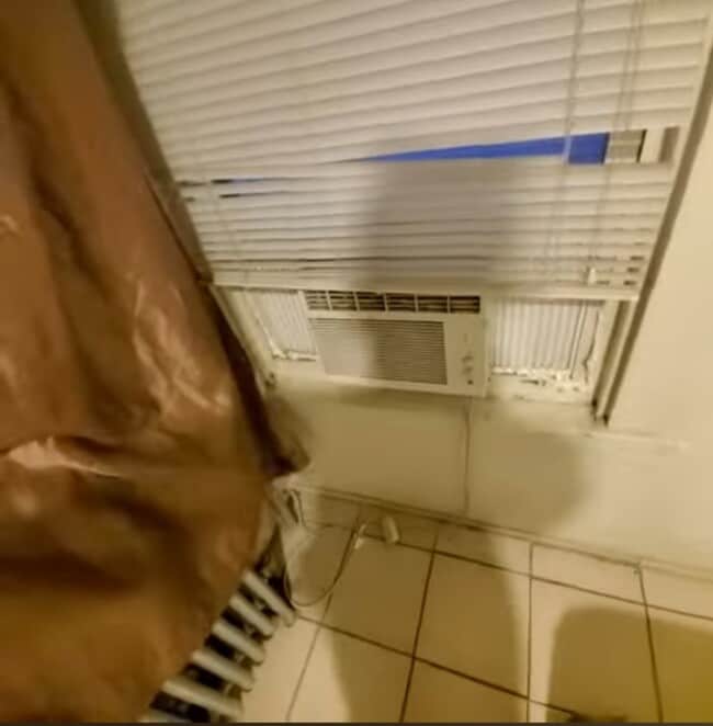 Building Photo - 524 Timpson Pl