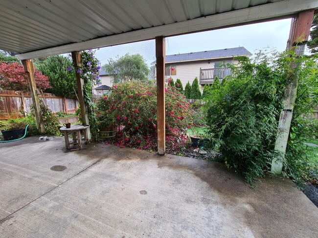 Shared backyard - 1742 NE 14th St