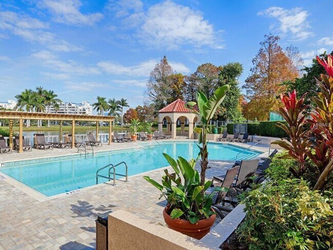 Hermosa piscina comunitaria - 2400 Feather Sound Dr Apt 421
