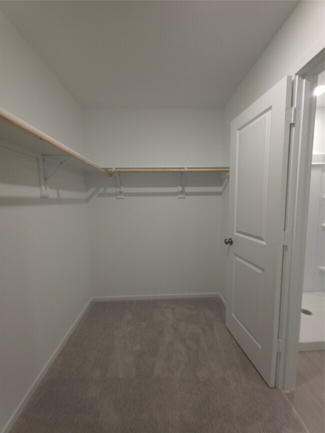 Building Photo - 26710 Sunrise Dr