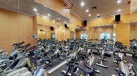 This indoor cycling studio is purpose-built for high-energy group spin classes, offering a spacious, single-floor layout accommodating a large number of professional-grade stationary bikes arranged in organized rows. The studio's warm, golden-orange textured walls create an energizing atmosphere, while vaulted ceilings with crown molding add a sense of openness and architectural refinement above the workout floor.

Floor-to-ceiling mirrors line the front and side walls, visually expanding the space and allowing participants to monitor their form throughout a session. Recessed ceiling lighting provides bright, even illumination across the entire studio, complemented by wall-mounted speakers and monitors that support an immersive, instructor-led class experience.

The flooring consists of dark, durable rubber matting suited to high-traffic fitness use. A set of double glass doors at the rear of the studio allows natural light to filter in and provides convenient access. Additional amenities include a wall-mounted sanitizing station, ensuring cleanliness and hygiene throughout the space.

Camera mounts and audio-visual equipment are strategically positioned for virtual or recorded class delivery. Overall, the studio combines functional fitness infrastructure with a polished, welcoming design, making it well-suited for both in-person and streamed cycling sessions.