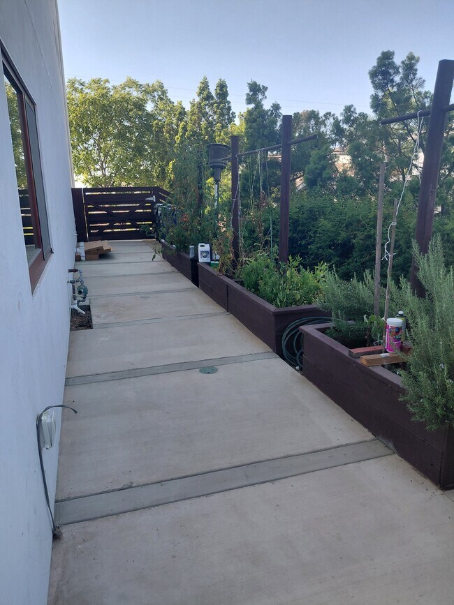 Building Photo - 401 Washingtonia Dr