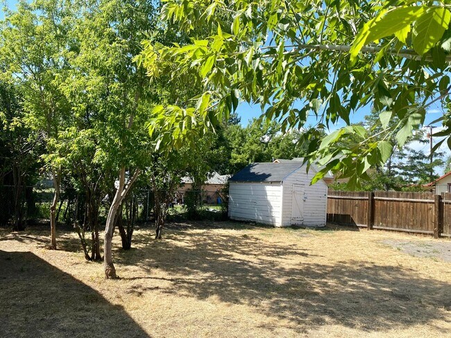 Foto del edificio - Large 3 bed 2 bath with fenced back yard