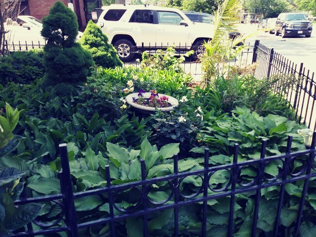 Foto del edificio - 17-31 Herrick Rd