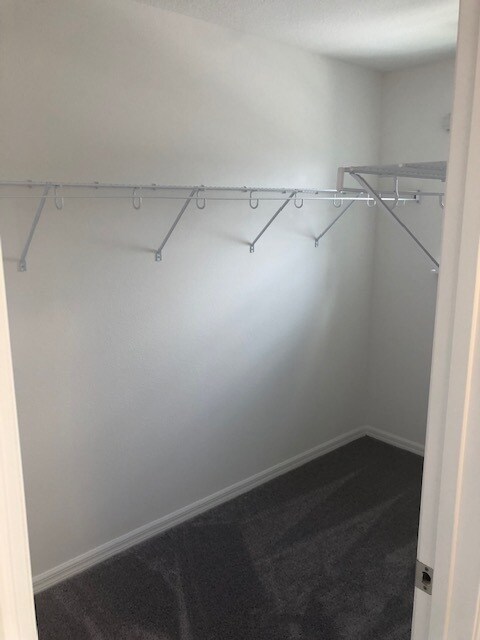 Foto del edificio - 4105 Collegiate Blvd