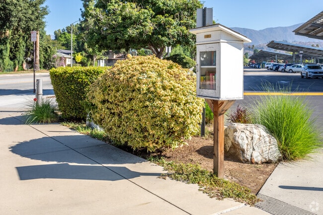 Discover the joy of reading with free book cabinets scattered throughout North La Verne.