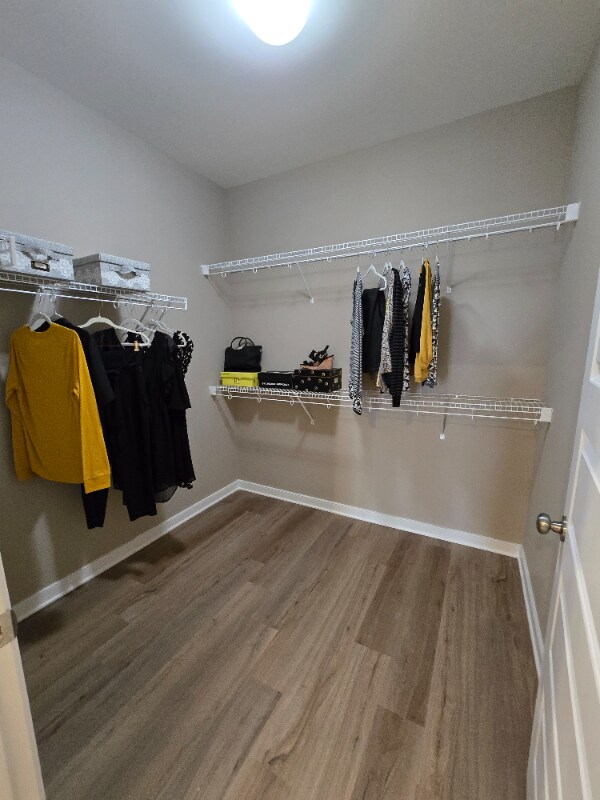 Foto del edificio - 4101 Next Level Trce