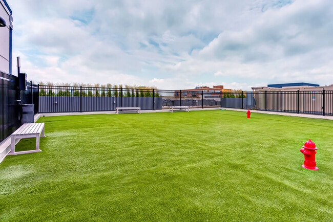 Building Photo - Luxe on Madison