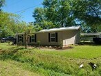 Primary Photo - 65186 LA-1058