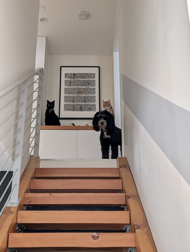 Foto del edificio - 800 Chestnut Ave