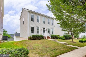 Building Photo - 407 Apricot St