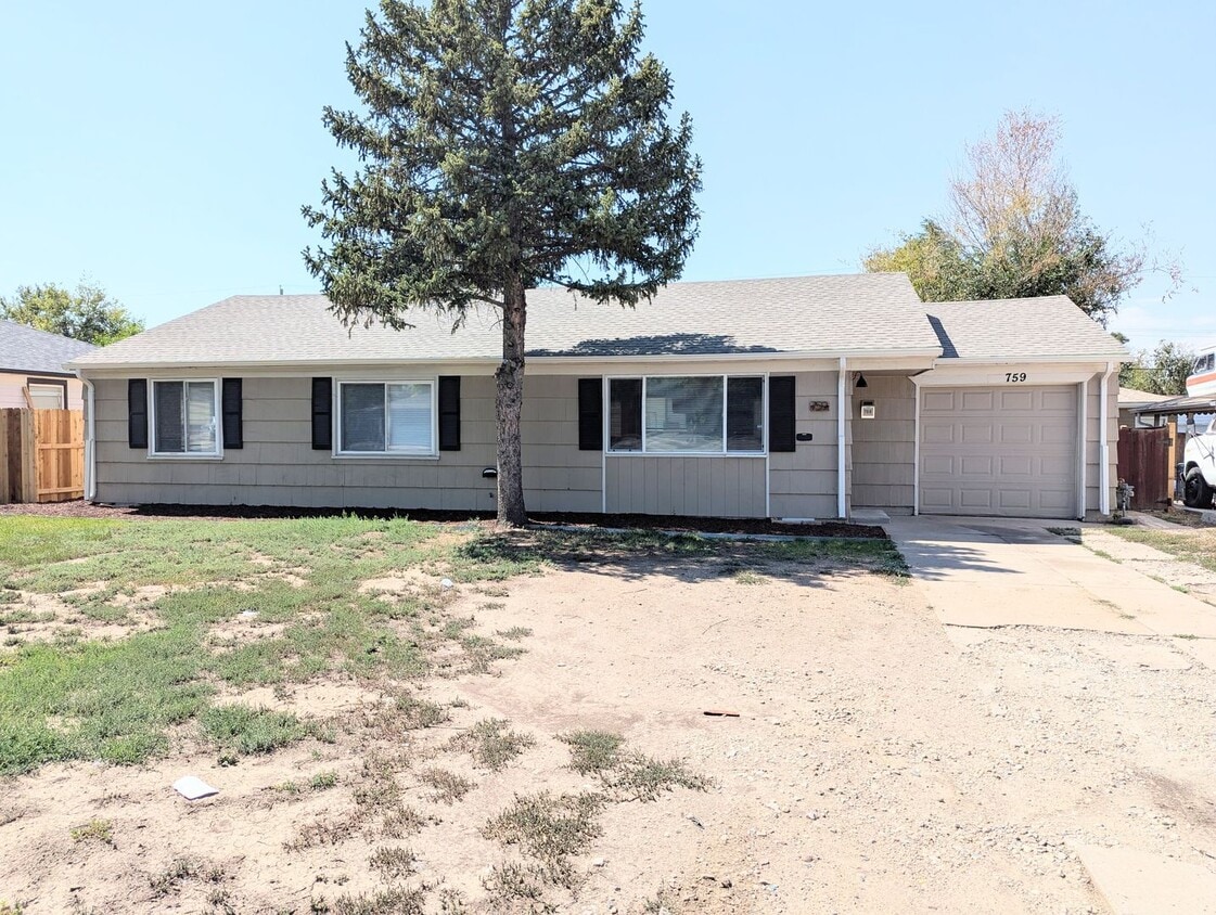 Primary Photo - 3 bed 1 bath home in Aurora