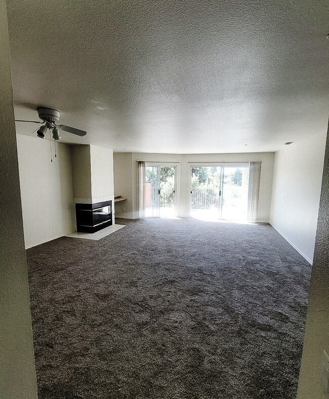 Building Photo - Lakeshore Apartments