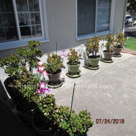 Building Photo - Lovely 4x2 Home off Mary  The Dalles